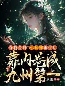 一本假太监上皇妃的